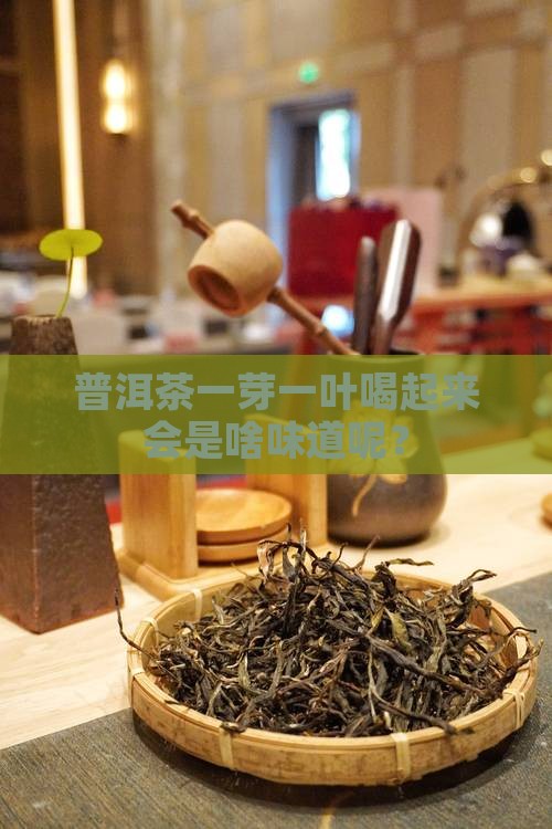 普洱茶一芽一叶喝起来会是啥味道呢？