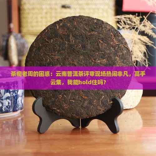 茶痴老周的困惑：云南普洱茶评审现场热闹非凡，高手云集，我能hold住吗？