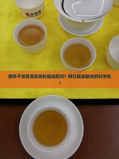 银杯子泡普洱茶真的能减肥吗？网红瘦身秘诀的科学性！