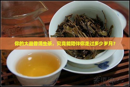 你的大益普洱生茶，究竟能陪伴你走过多少岁月？