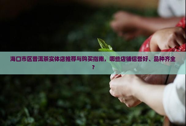 海口市区普洱茶实体店推荐与购买指南，哪些店铺信誉好、品种齐全？