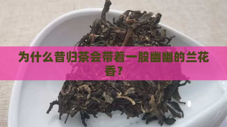 为什么昔归茶会带着一股幽幽的兰花香？