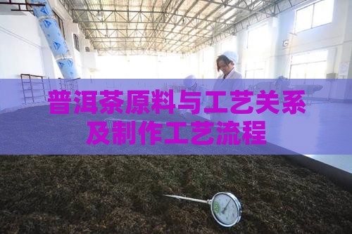 普洱茶原料与工艺关系及制作工艺流程