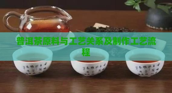 普洱茶原料与工艺关系及制作工艺流程