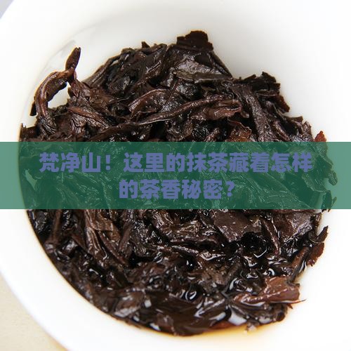 梵净山！这里的抹茶藏着怎样的茶香秘密？