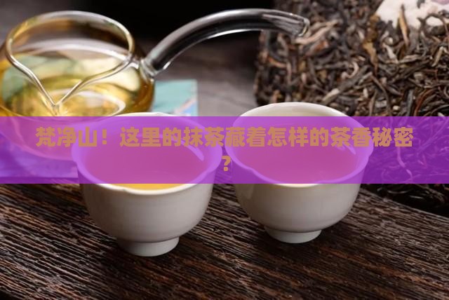 梵净山！这里的抹茶藏着怎样的茶香秘密？