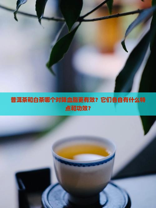普洱茶和白茶哪个对降血脂更有效?它们各自有什么特点和功效? 普洱茶和白茶哪个对降血脂更有效?它们各自有什么特点和功效?