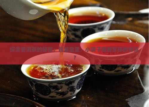 探索普洱茶的秘密:包装盒里,小袋子藏着怎样的惊喜? 探索普洱茶的秘密:包装盒里,小袋子藏着怎样的惊喜?
