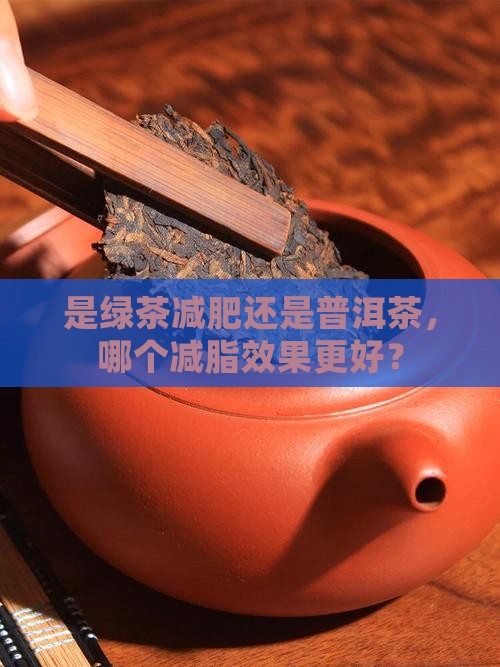 是绿茶减肥还是普洱茶,哪个减脂效果更好? 是绿茶减肥还是普洱茶,哪个减脂效果更好?