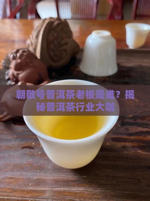 朝敬号普洱茶老板是谁