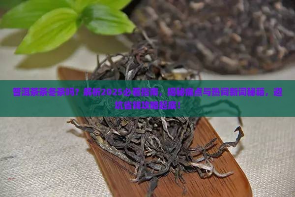 普洱茶茶冬茶吗