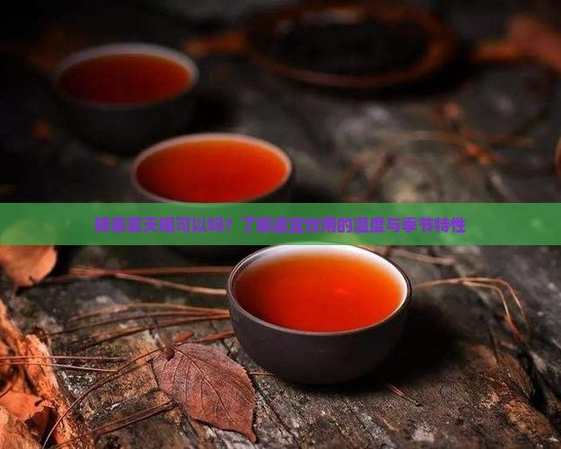 砖茶夏天喝可以吗