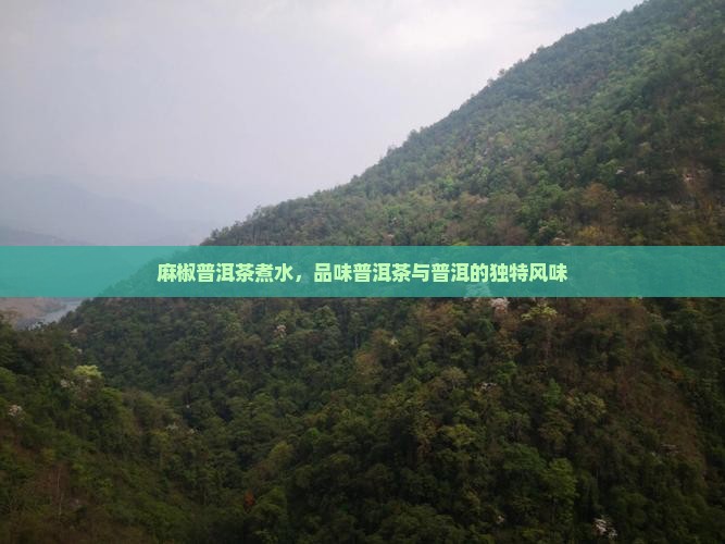 麻椒普洱茶煮水