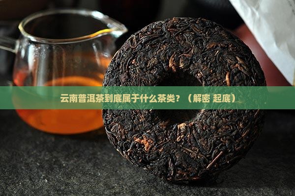 云南普洱茶是什么茶类