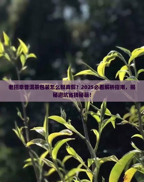 老班章普洱茶包装辩真假
