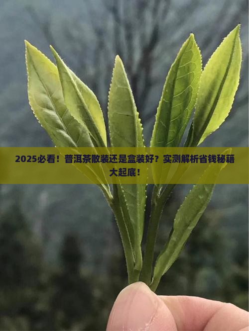 普洱茶散装还是盒装好