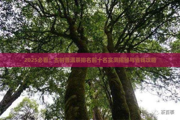 古树普洱茶排名前十名