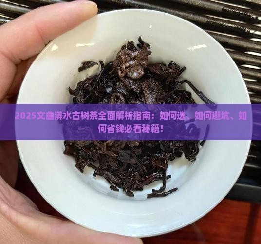 文曲古树茶漭水古树茶