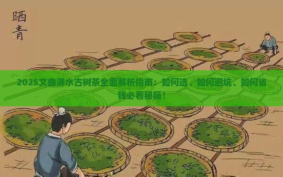 文曲古树茶漭水古树茶