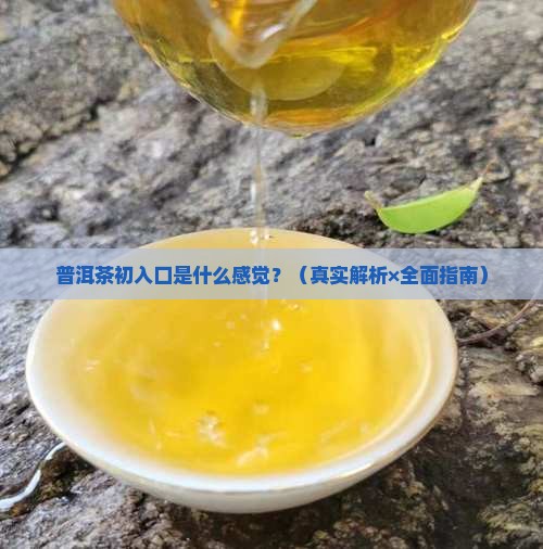 普洱茶起来是什么味道的