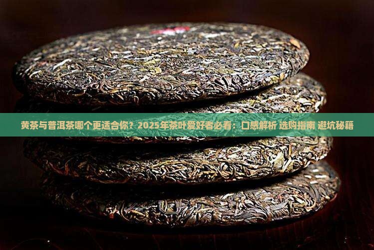 黄茶与普洱茶哪个好喝些