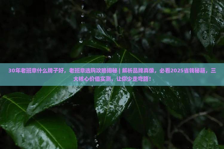 30年老班章什么牌子好