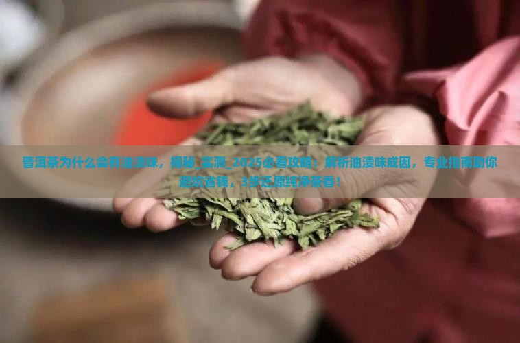 普洱茶为什么会有油渍味
