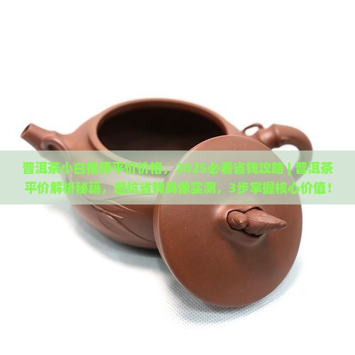 普洱茶小白推荐平价价格