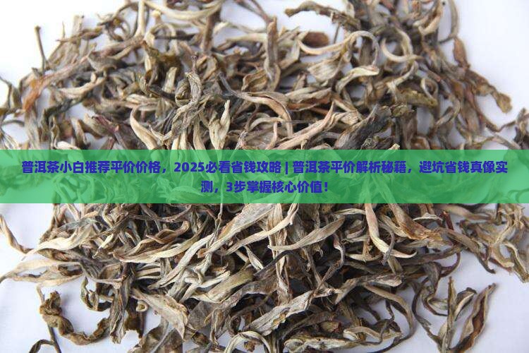 普洱茶小白推荐平价价格
