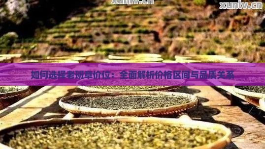 如何选择老班章价位