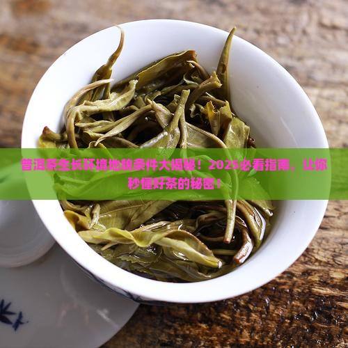 普洱茶生长环境地貌条件