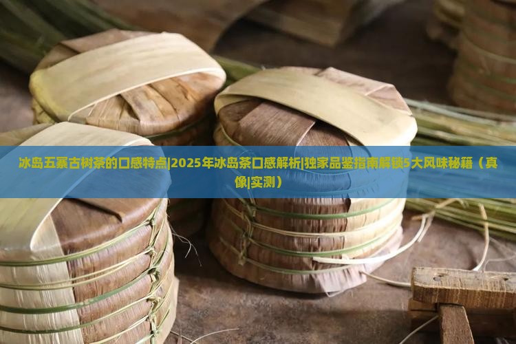 冰岛五寨古树茶的口感特点