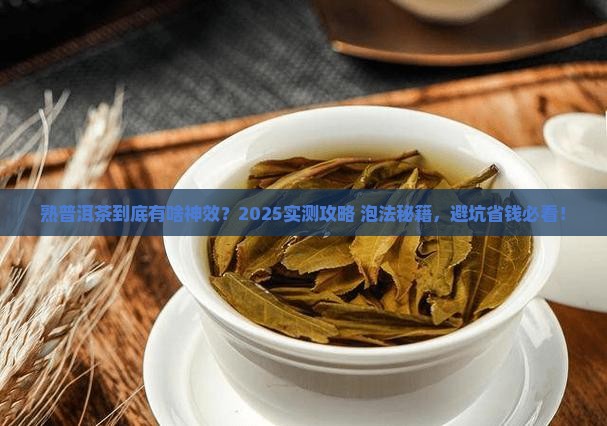 熟普洱茶的功效怎么泡