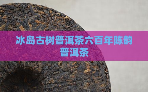 冰岛600年古树熟普洱茶