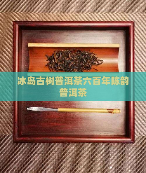 冰岛600年古树熟普洱茶