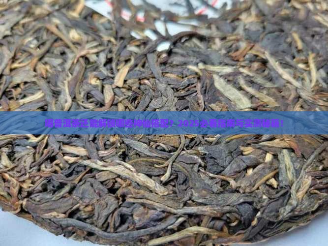 喝普洱茶能喝什么