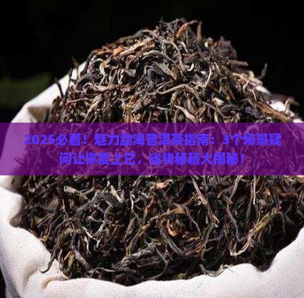 魅力勐海普洱茶