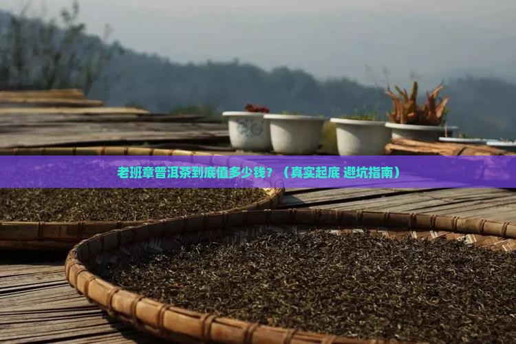 老班章普洱茶值多少钱