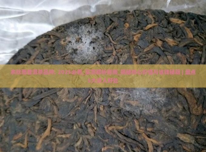 余秋雨普洱茶品种