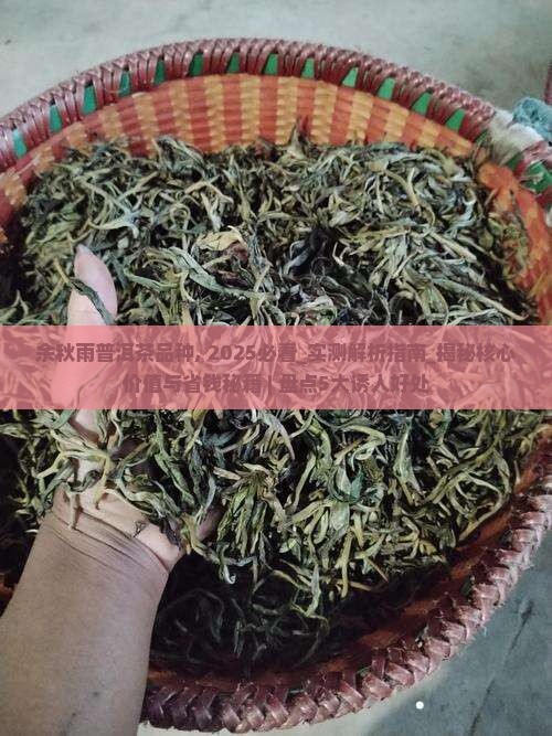 余秋雨普洱茶品种