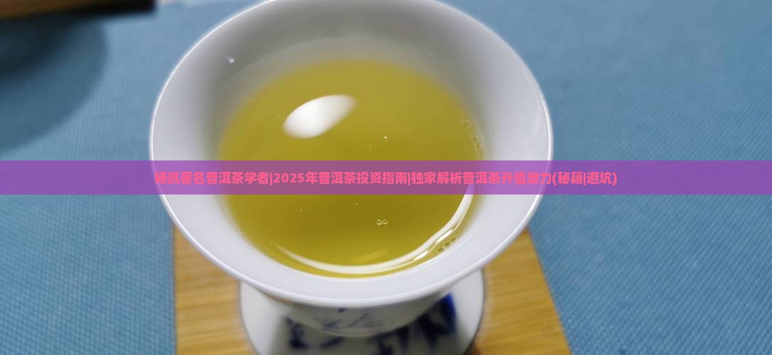 杨凯著名普洱茶学者