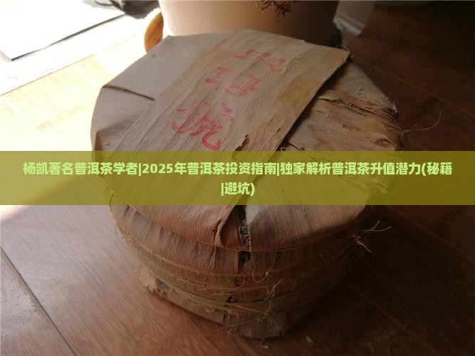 杨凯著名普洱茶学者