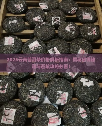 云南普洱茶一般价格是多少