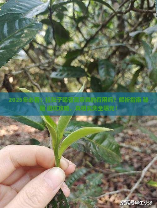 拉肚子的时候喝普洱茶可以吗