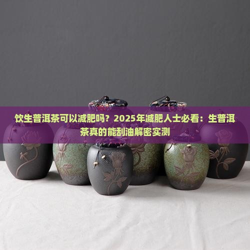 饮生普洱茶可以减肥吗 饮生普洱茶可以减肥吗