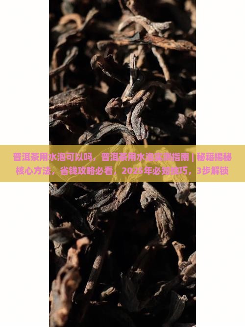 普洱茶用水泡可以吗