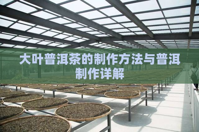 大叶普洱茶的做法