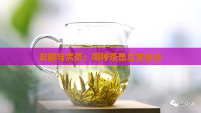 哪种茶是后发酵茶