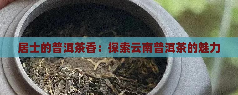 茶居士云南普洱