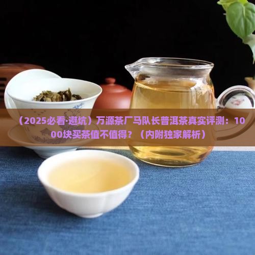 万源茶厂马队长普洱茶